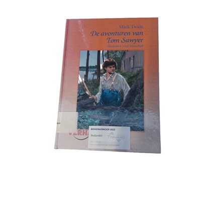 De avonturen van Tom Sawyer