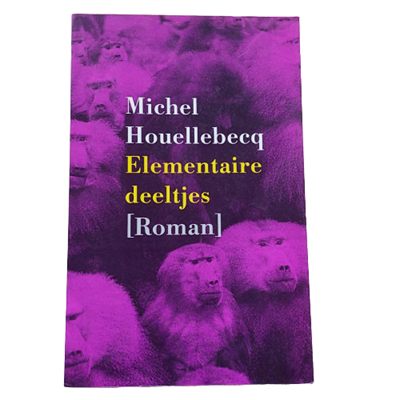 Elementaire deeltjes