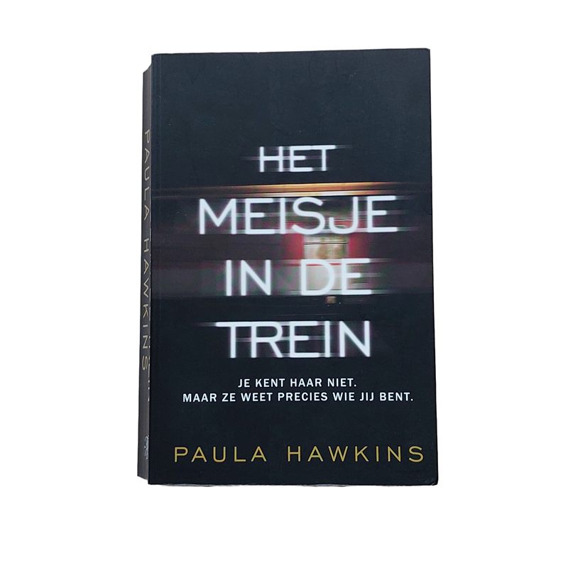Het meisje in de trein