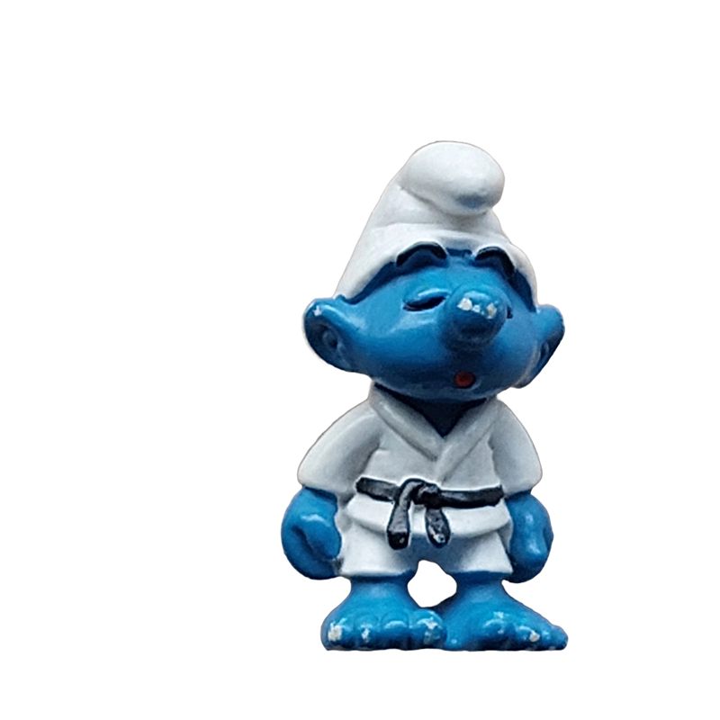 Judo smurf