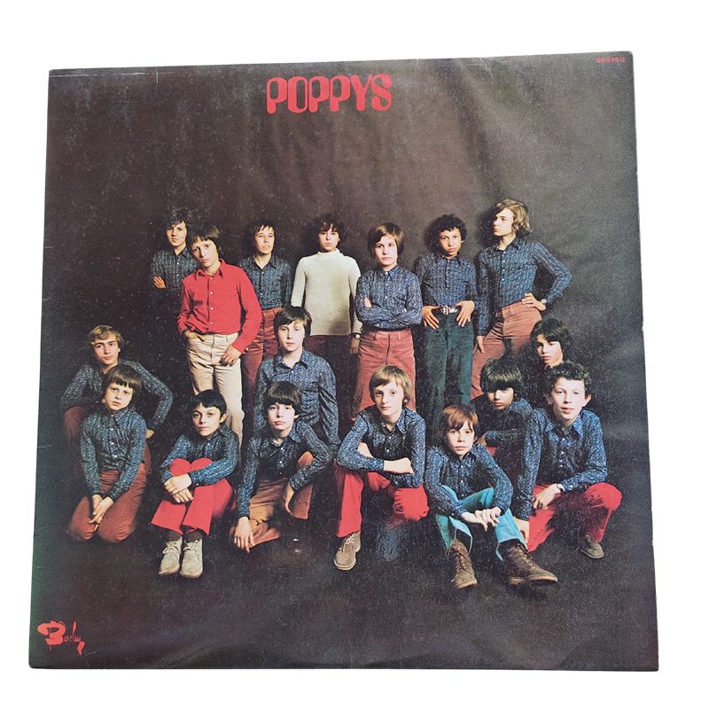 Vinylplaat Les Poppys